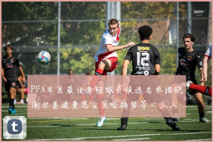 PFA年度最佳年轻球员候选名单揭晓谢尔基道曼恩古莫哈梅努等六人入围